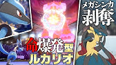 ポケモン剣盾 色違いルカリオで革命を起こす Youtube