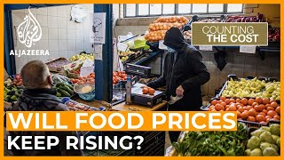 The perfect storm: Global food prices hit six-year high | Counting the Cost