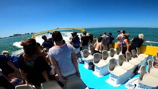 Sea Screamer in Clearwater Beach
