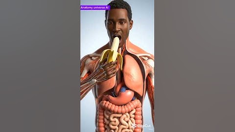 Banana Benefits Explained: What Happens Inside Your Body 🍌 | 3D Animation