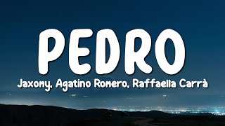 PEDRO - Jaxomy, Agatino Romero, Raffaella Carrà (TikTok Song Lyrics)