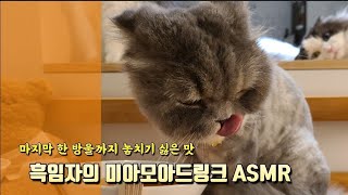 흑임자 고양이 찹찹소리 asmr by 써니포캣 sunny4cats 115 views 2 years ago 30 seconds