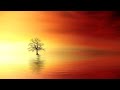 Relaxing Music  1 hour ❤️ • For Stress Relief • Happy Music •  2021 • Calming Music • Vacation