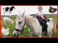 Old MacDonald Had a Farm (2019) -Nursery Rhymes with Real Animals