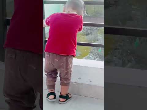 comedy 🤣🤣😂😁 #shorts #comedy  #marwadi