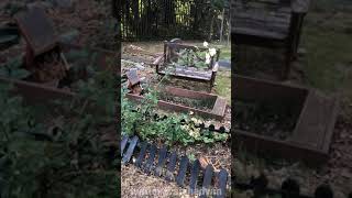 Grave of the Legend Nazia Hasan