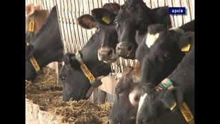Навіщо аграріям реєструватися у Державному аграрному реєстрі