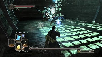Dark Souls 2: Flexile Sentry - Sorcerer