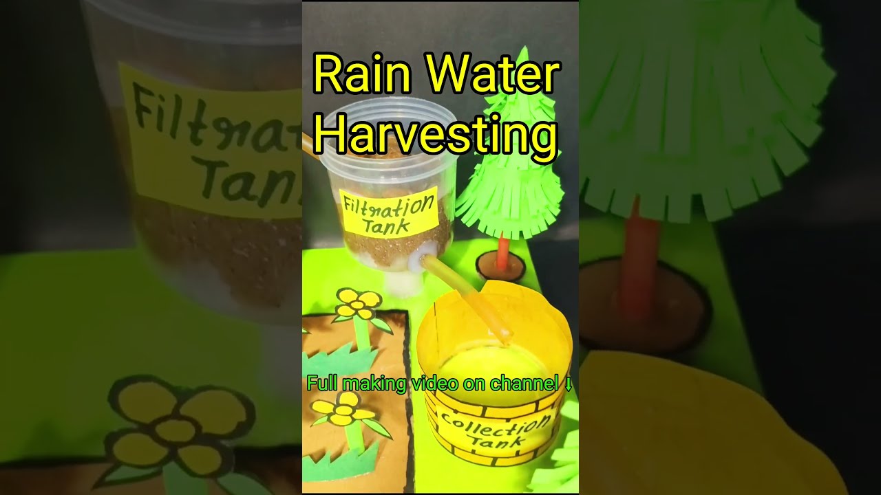 Rain Water Harvesting Working Model Project For School Shortvideo Scienceproject Shorts Short