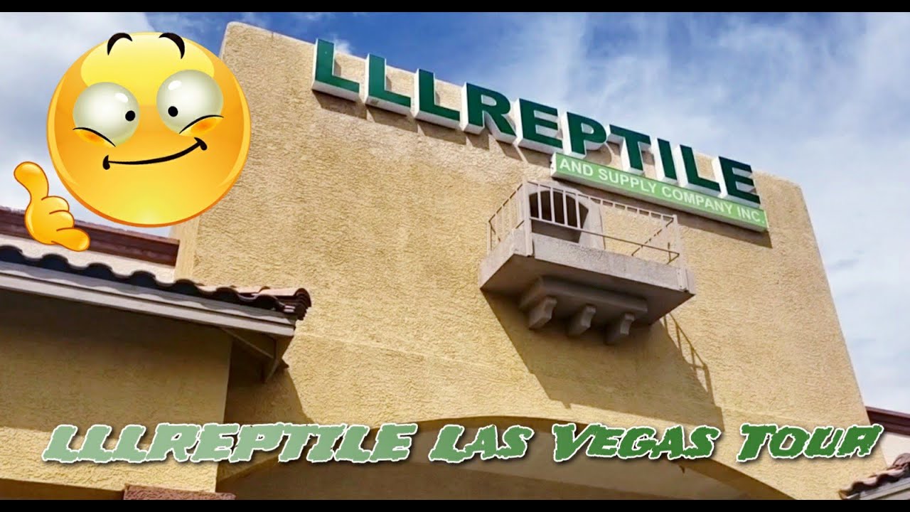 lllreptiles near me