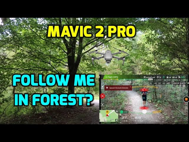 Mavic 2 Pro crashes trying to object track me through a forest.  Learning Lesson. Ep149