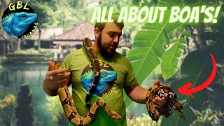 HOW TO CARE FOR RED TAIL BOAS (BCI & BCC)!! IN DEPTH CARE GUIDE!