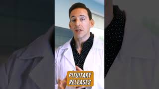 Sermorelin vs GHRP-6: Two Signals, One Hormone (2/5 Series) #peptides #science #Sermorelin #shorts
