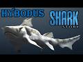 shark stories hybodus screen time