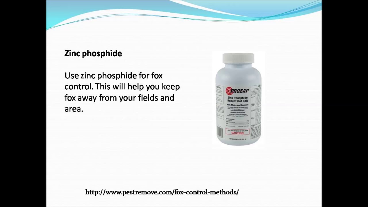 Fox control methods - YouTube