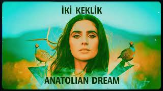 İki Keklik - Anatolian Psychedelic Rock Cover Anatolian Dream