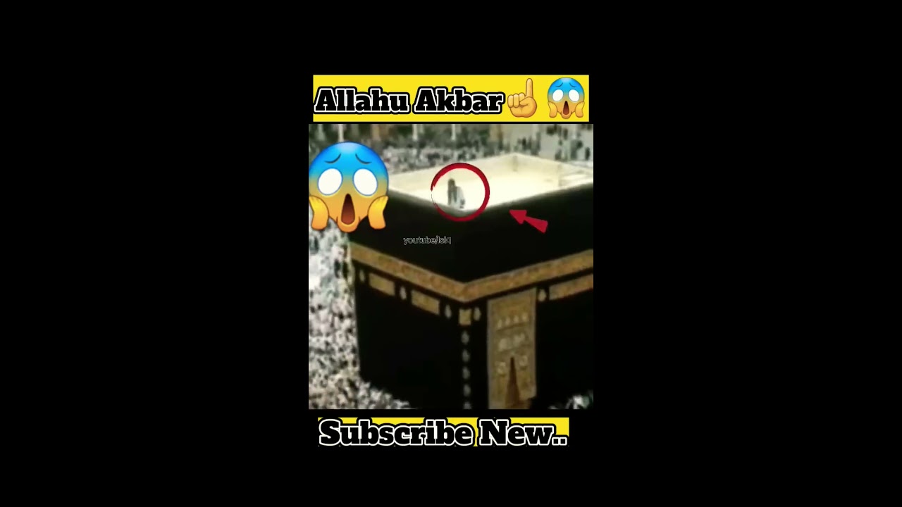   Miracle of Allah16M Views youtubeshorts viralvideo viralshort shortfeed allah shorts