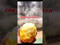 Aaj khaya pineapple😁#shortsvideo #minivlog #vikramvlogs09 #funny