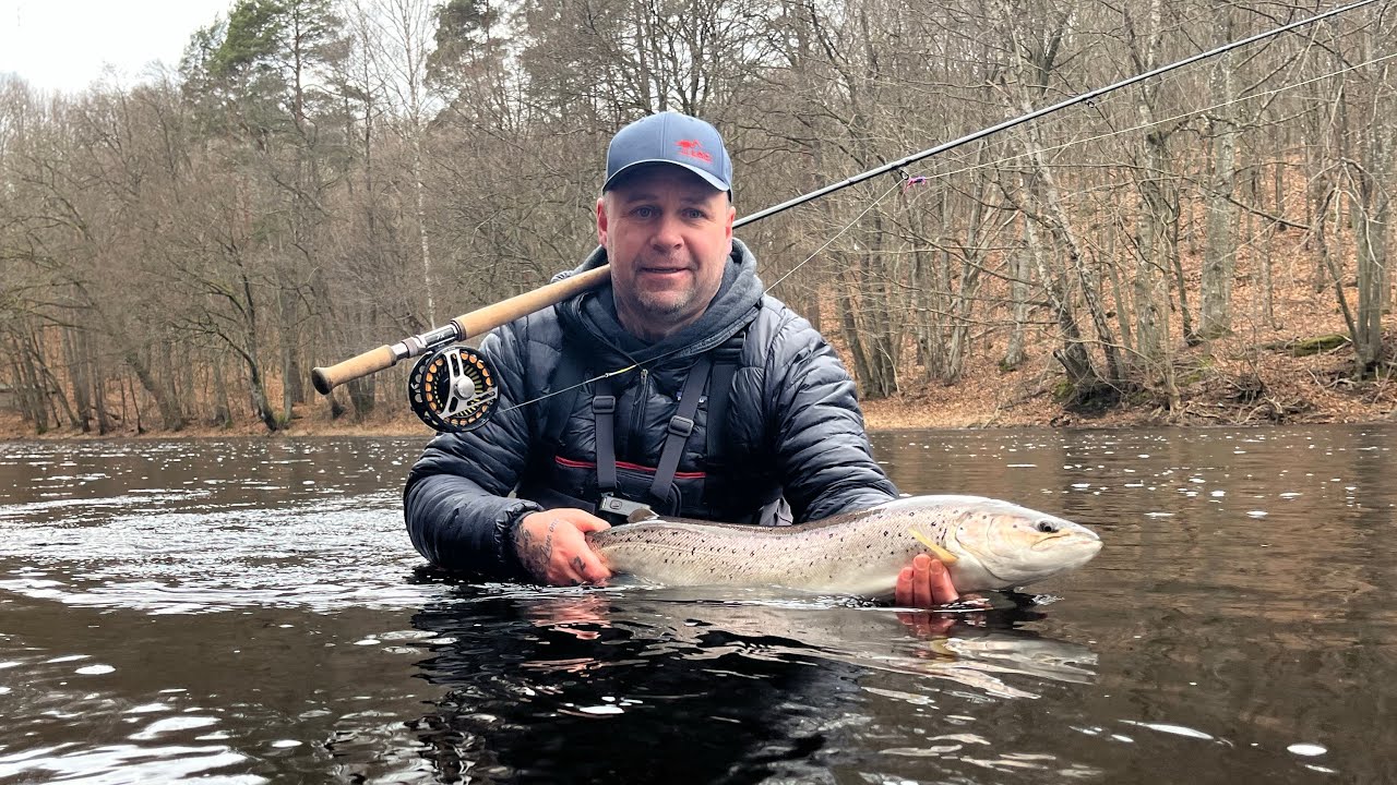 Mörrum Premier 2025