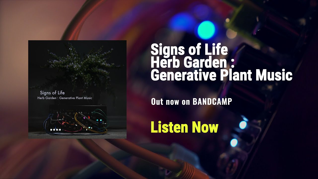 Herb Garden : Generative Plant Music - YouTube