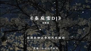 春庭雪 DJ 变速-0.82x  完整版