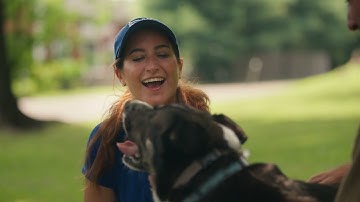 How Exactly Do You Train Your Dog to the Invisible Fence® Brand System?