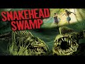 SNAKEHEAD SWAMP / MUSIC VIDEO