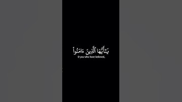 سورة الاحزاب _ الآية 41 _ تلاوة رائعة _ ❤️📖🤲