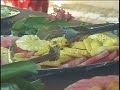 [4K][HD][SD]🇫🇯Beyond the Blue: A Journey Into Girmit History (Nadi to Yasawa) B-Roll 2006-2025