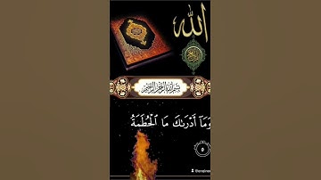 قرآن كريم ، سورة الهمزه ، القارئ الشيخ محمد الفقيه