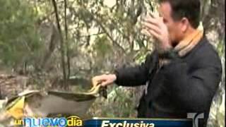 Lugar EXACTO de la muerte de Jenni Rivera.