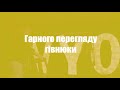 Денис Незабавний: Стендап. Чому лев розумніший за людину, та як я отримав свою першу повістку.