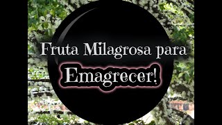 Jabuticaba faz emagrecer?