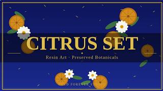 Preserving a Citrus Set in Resin