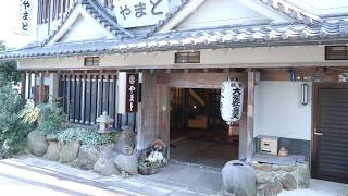 Kanko Ryokan Yamato, Ikoma, Japan | Travel With Yashvi