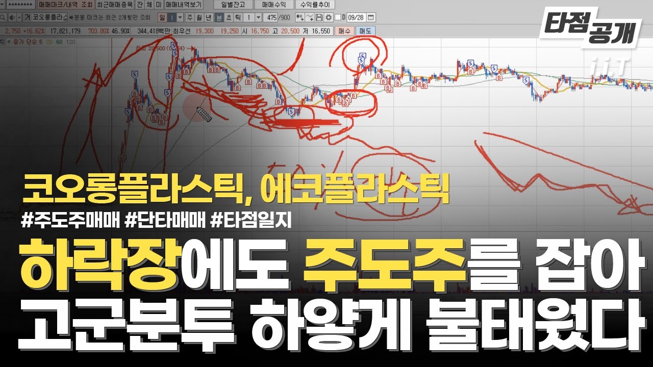 하락장에도 주도주는 있다