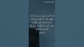 سورة البقرة (١٦٥ - ١٦٦) / ياسر الدوسري