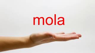 How To Pronounce Mola - American English