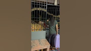 Part -1 | Family❤️ | Please subscribe and support us | #shorts #shortsfeed #youtubeshorts #viral