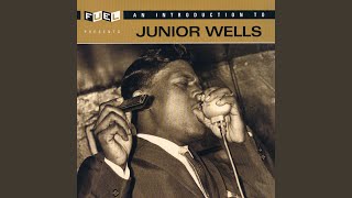 Miniatura de vídeo de "Junior Wells - I Can't Help Myself (Live)"