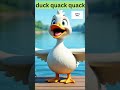 Quack quack