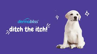 Dermabliss™ Allergy & Immune Supplement for Dogs