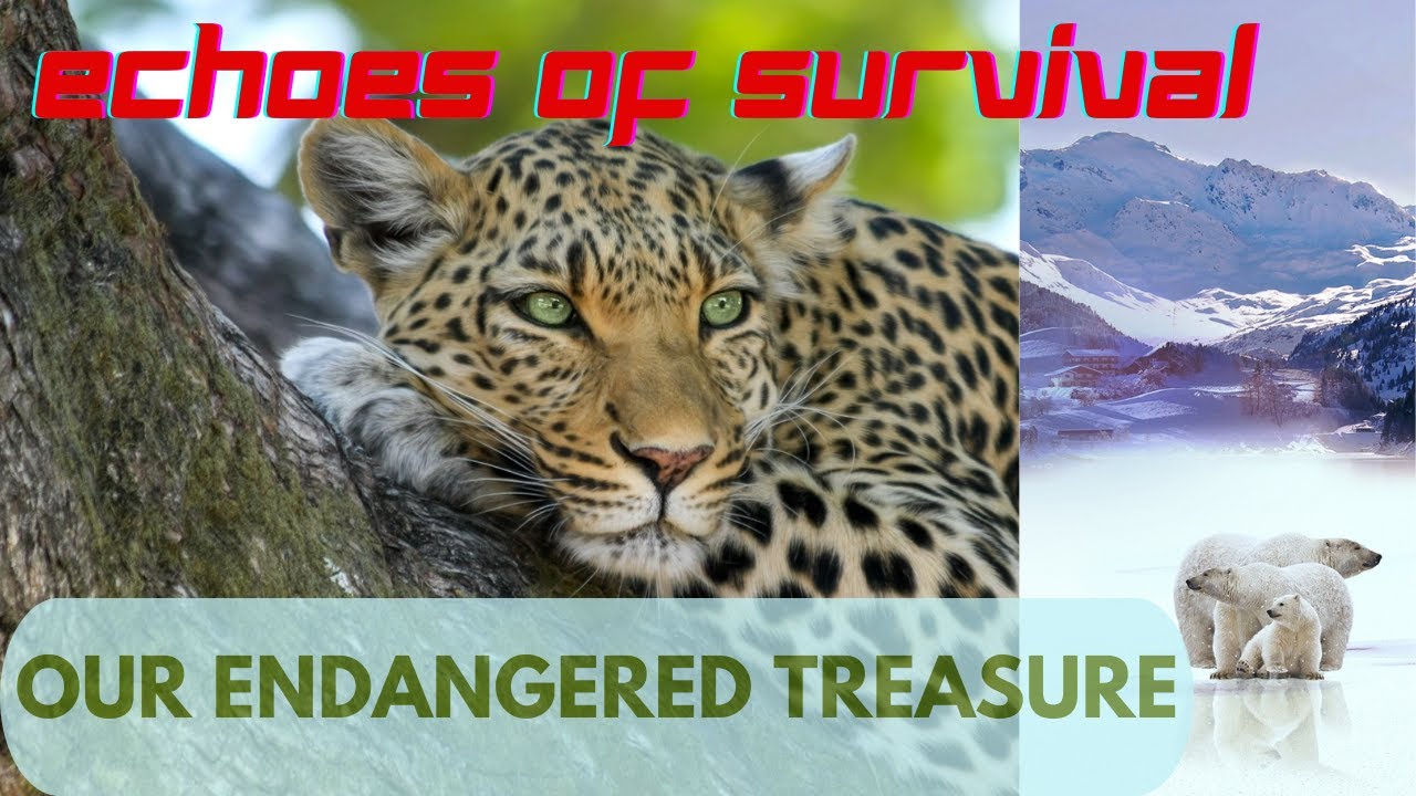 10 Most Endangered Animal Species --  Saving Endangered Species / Beautiful Wild / Educational Video