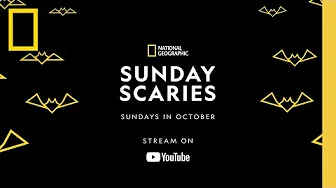 Here Come the Sunday Scaries! | OFFICIAL TRAILER | National Geographic