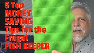 My Top 5 Money Saving Tips for Frugal Fish Keepers like Me [Cut Costs without Cutting Quality]