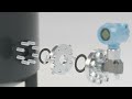 Video Image