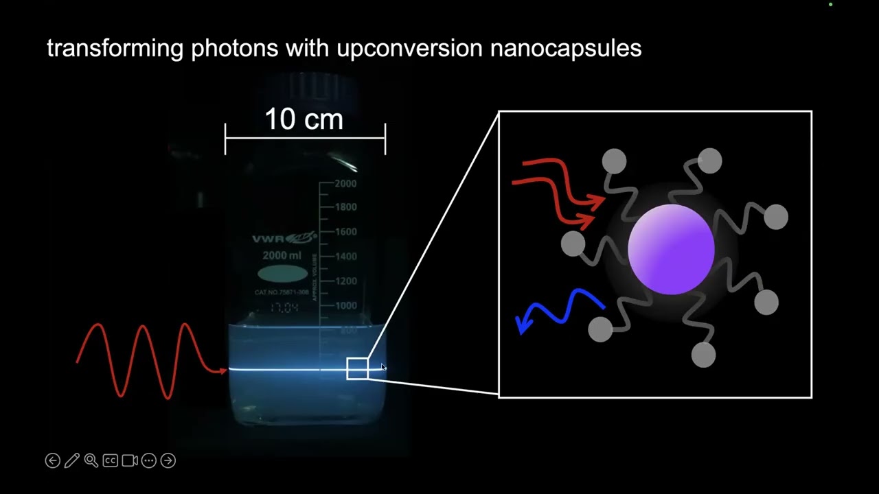 2022 Arnold O. Beckman Postdoctoral Fellow, Tracy Schloemer, PhD