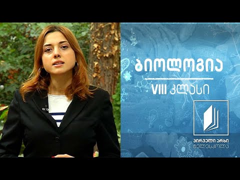 ბიოლოგია - VII კლასი - სოკოები, ქუდიანი სოკოები და სოკოების მრავალფეროვნება #ტელესკოლა
