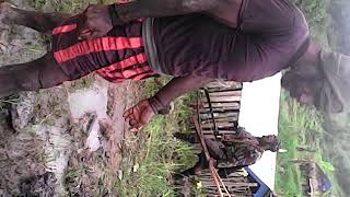 A story from Nduga: Papuan peoples leaving with the traumatic ...