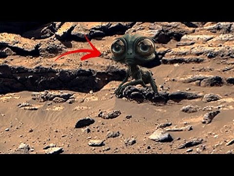 NASA's Mars Perseverance